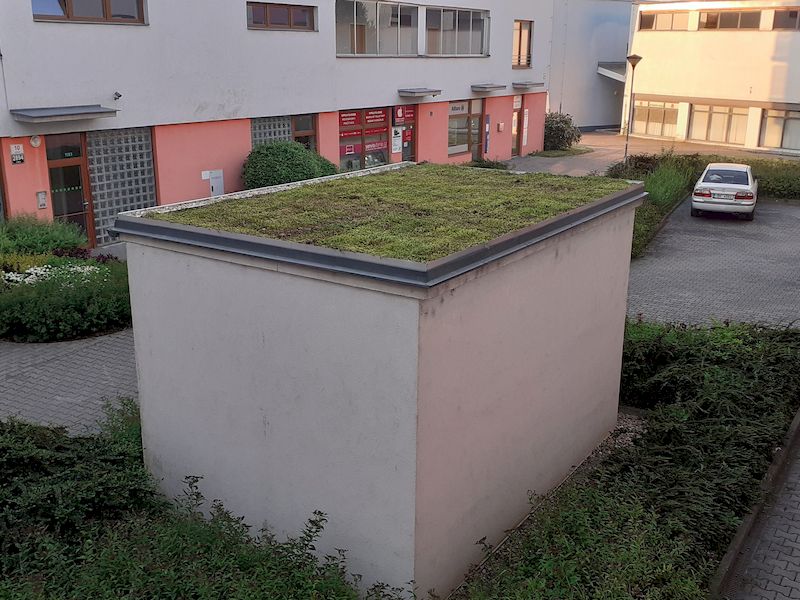 Extenzivní zelená střecha v Líšni (Brno)