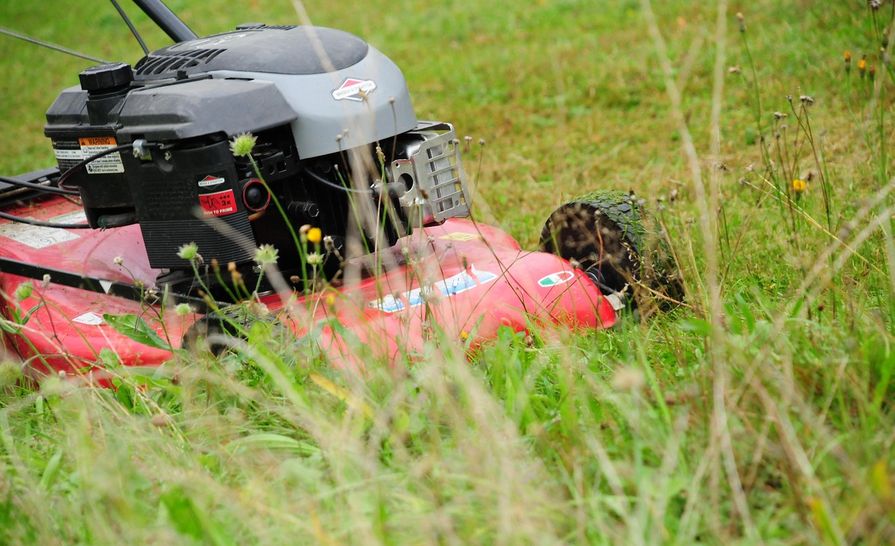 Sekání trávníku v zahradě pomocí robotické sekačky.