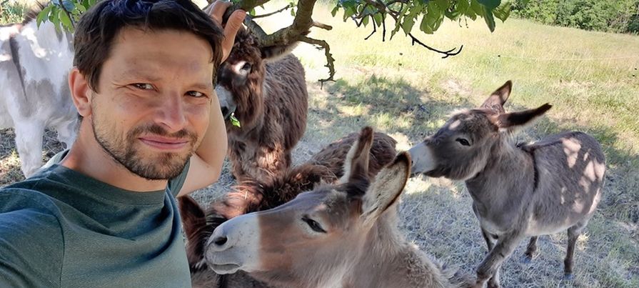 Ing. Vilém Jurek – Pastva u Hustopeče