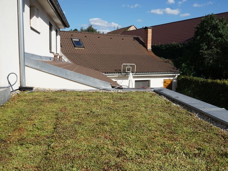 Extenzivní zelená střecha – Čechy (2020)