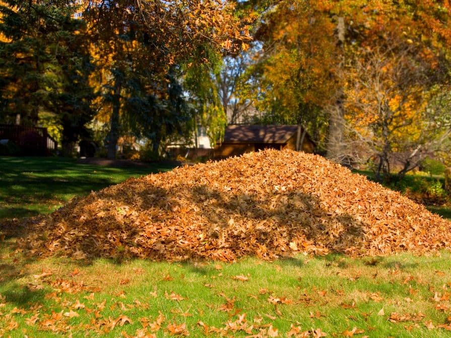 Hromadí listí v zahradě