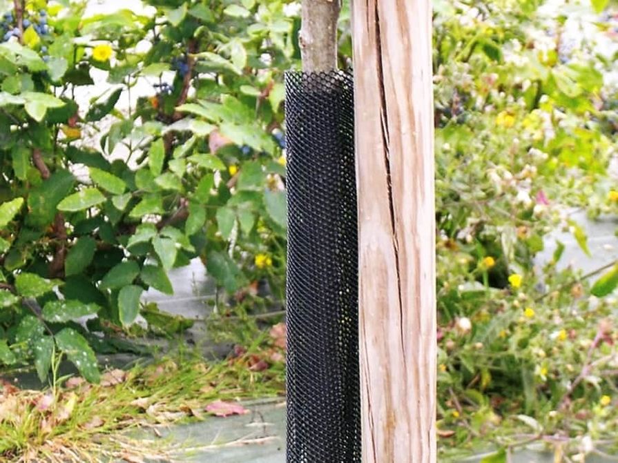 Plastový rukávec kolem kmene mladého stromu