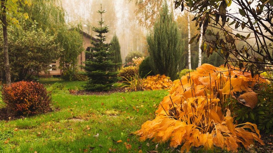 Podzimní zahrada se stromy a keři