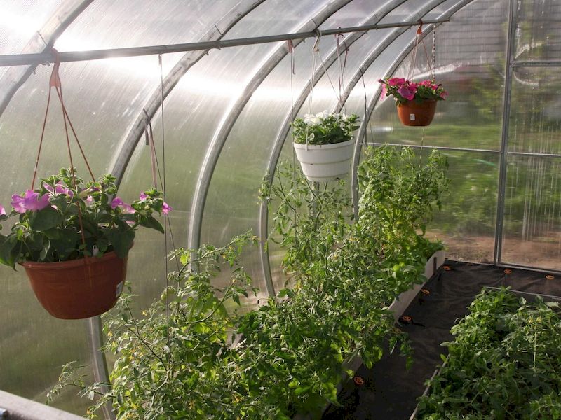 Interiér polykarbonátového skleníku DODO 314