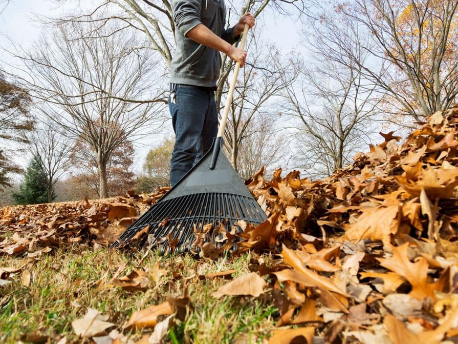 Shrabování listí v zahradě