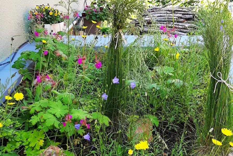 Zelené střecha budovaná svépomocí