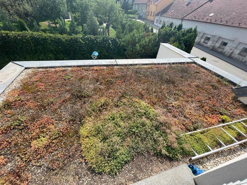 Zelená střecha ve výhni