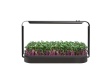 Sada pro microgreens Urban Microgreens LED Set