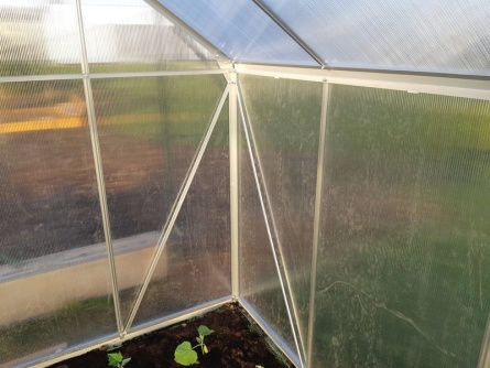 Vitavia Target, PC 4 mm