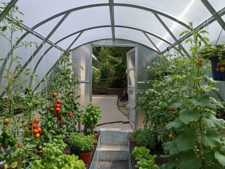 LANITPLAST TIBERUS SE 3×4 m PC 4 mm