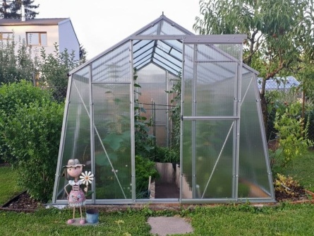 LIMES Viva V7 PC 6 mm