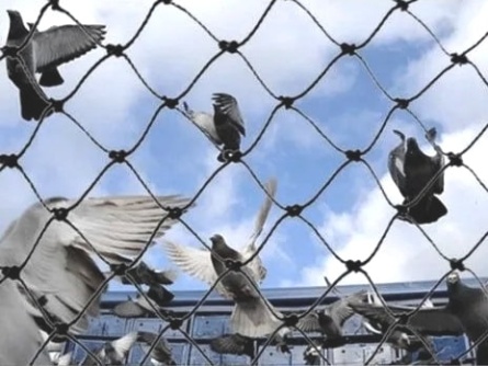 Birdnet K (60 g/m², oko 30×30 mm)