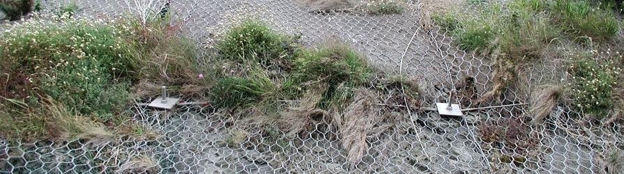 Ocelová síť s vegetací ve svahu