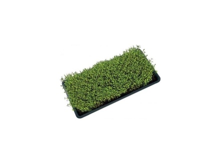 Garland Microgreens Tray