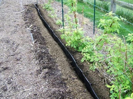 Root barrier
