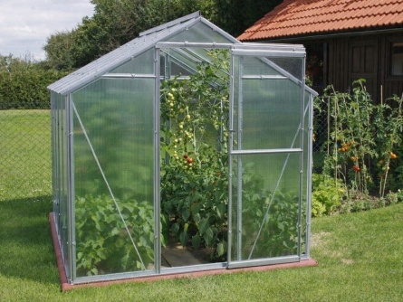 LIMES Viva V6 PC 4 mm