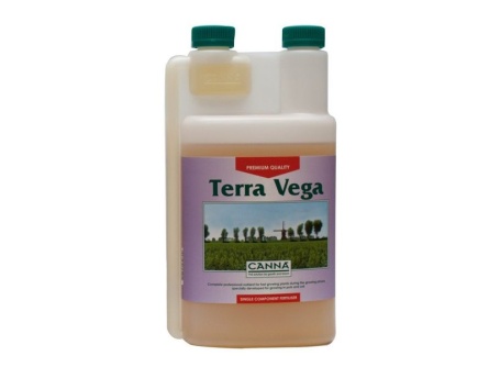 Canna Terra Vega