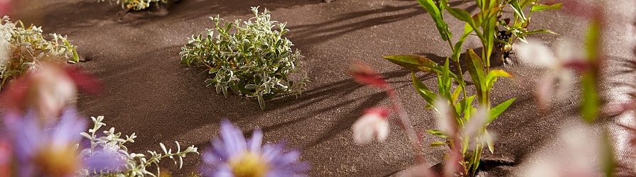 Ekotextilie s výsadbou rostlin