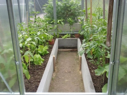 LIMES Viva V6 PC 6 mm