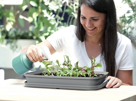 Respana Table Greenhouse