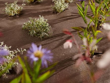 Agrotextilie EKO+ 157g