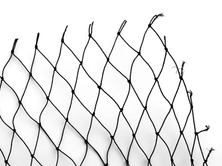 Birdnet K (60 g/m², oko 30×30 mm)