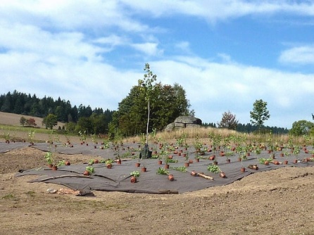 Agrotextilie EKO+ 130g