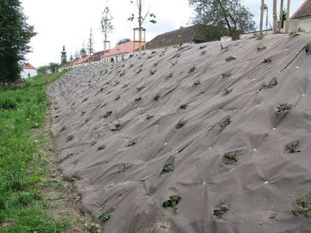 Agrotextilie EKO+ 157g