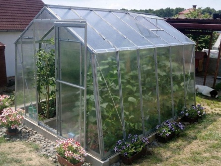 LIMES Viva V7 PC 6 mm