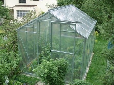 LIMES Viva V6 PC 4 mm