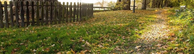 Zatravňovací dlažba na příjezdové cestě