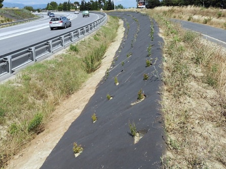 Agrotextilie EKO+ 157g