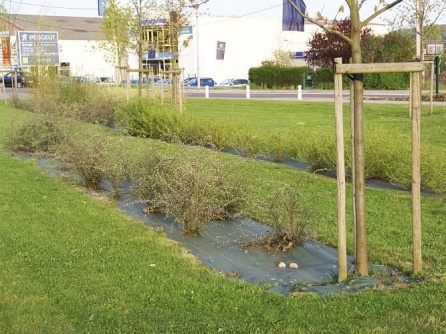 Agrotextilie EKO+ 157g