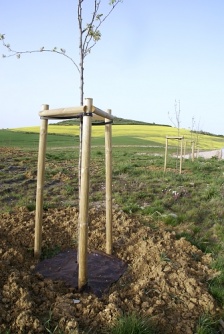 Agrotextilie EKO+ 157g