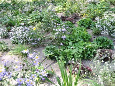 Agrotextilie EKO W 250g