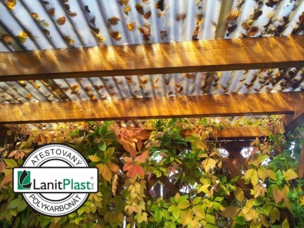 Marlon CSE Diamond VL 76/18