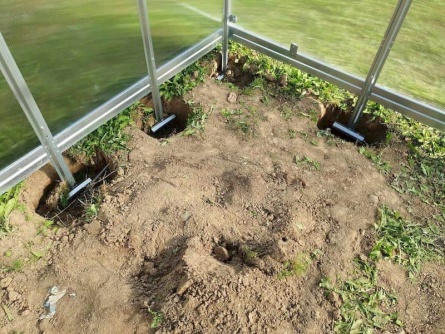 Lucius 3×4 m PC 6 mm