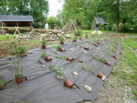 Agrotextilie EKO+ 130g