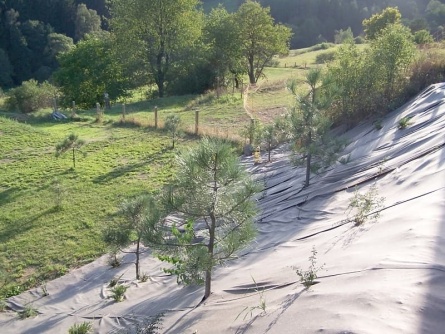 Agrotextilie EKO+ 157g