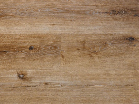 Canadian Design Calgary