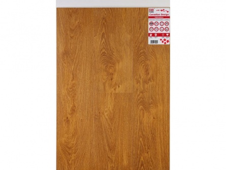 Canadian Design Edmonton