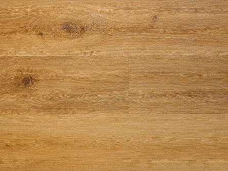 Canadian Design Golden