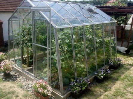 LIMES Viva V7, sklo 3 mm