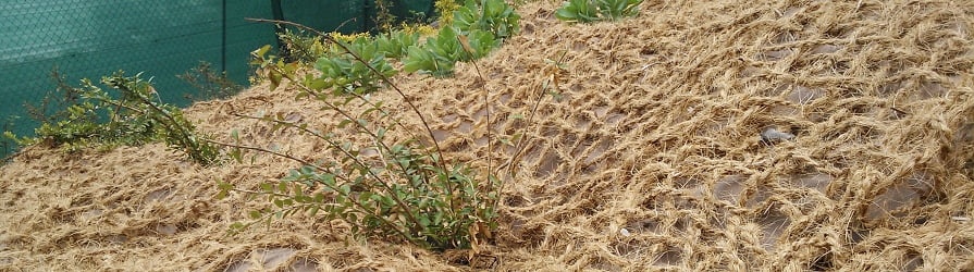 Kokosová síť s prorůstající zelení ve svahu