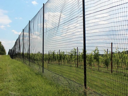 Deer fencing net