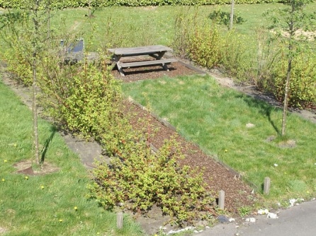 Agrotextilie EKO+ 157g