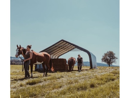 ShelterLogic Run-In-Shed 6,7 × 6,1 m