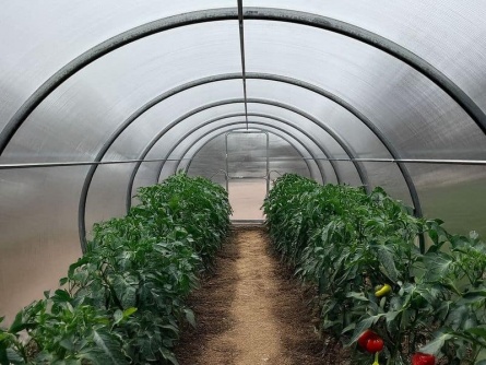 Dodo 300 3×4 m PC 4-6-8 mm