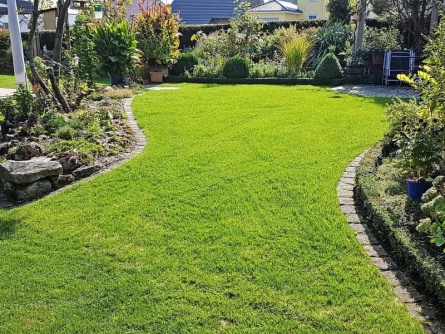 easygreen Play and Sports Lawn