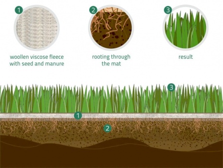 easygreen Play and Sports Lawn